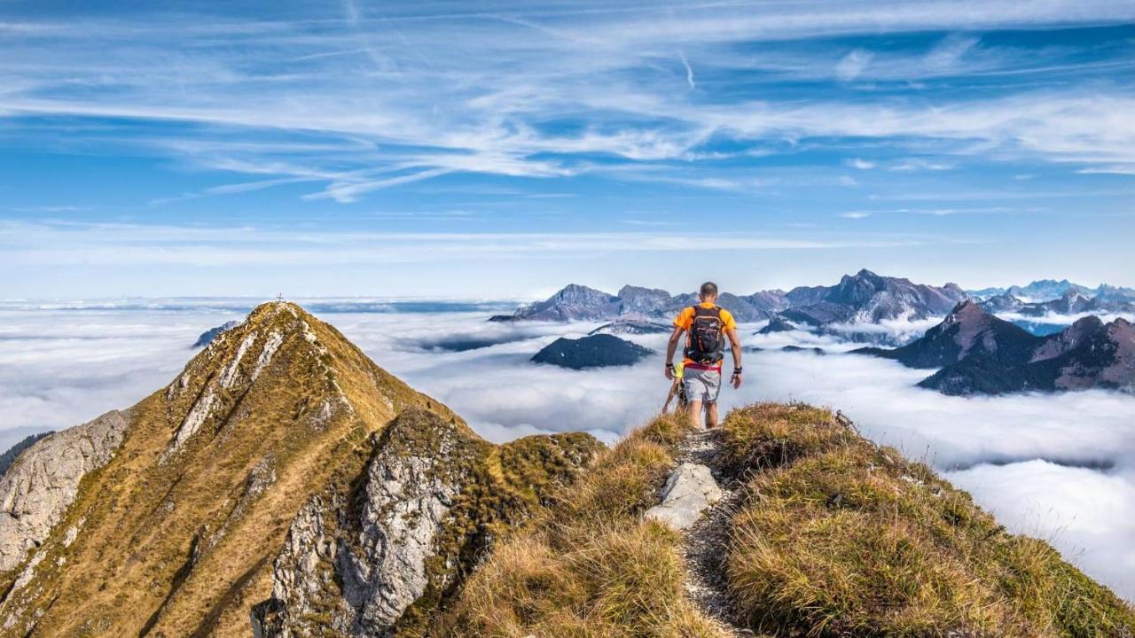 Le 211,Ski Et Randonnee, Lave Linge ,Parking Bernex Buitenkant foto