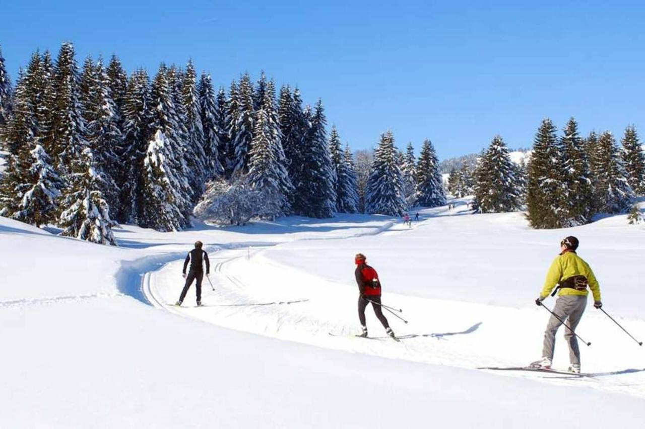 Le 211,Ski Et Randonnee, Lave Linge ,Parking Bernex Buitenkant foto