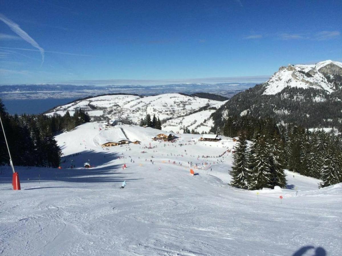 Le 211,Ski Et Randonnee, Lave Linge ,Parking Bernex Buitenkant foto