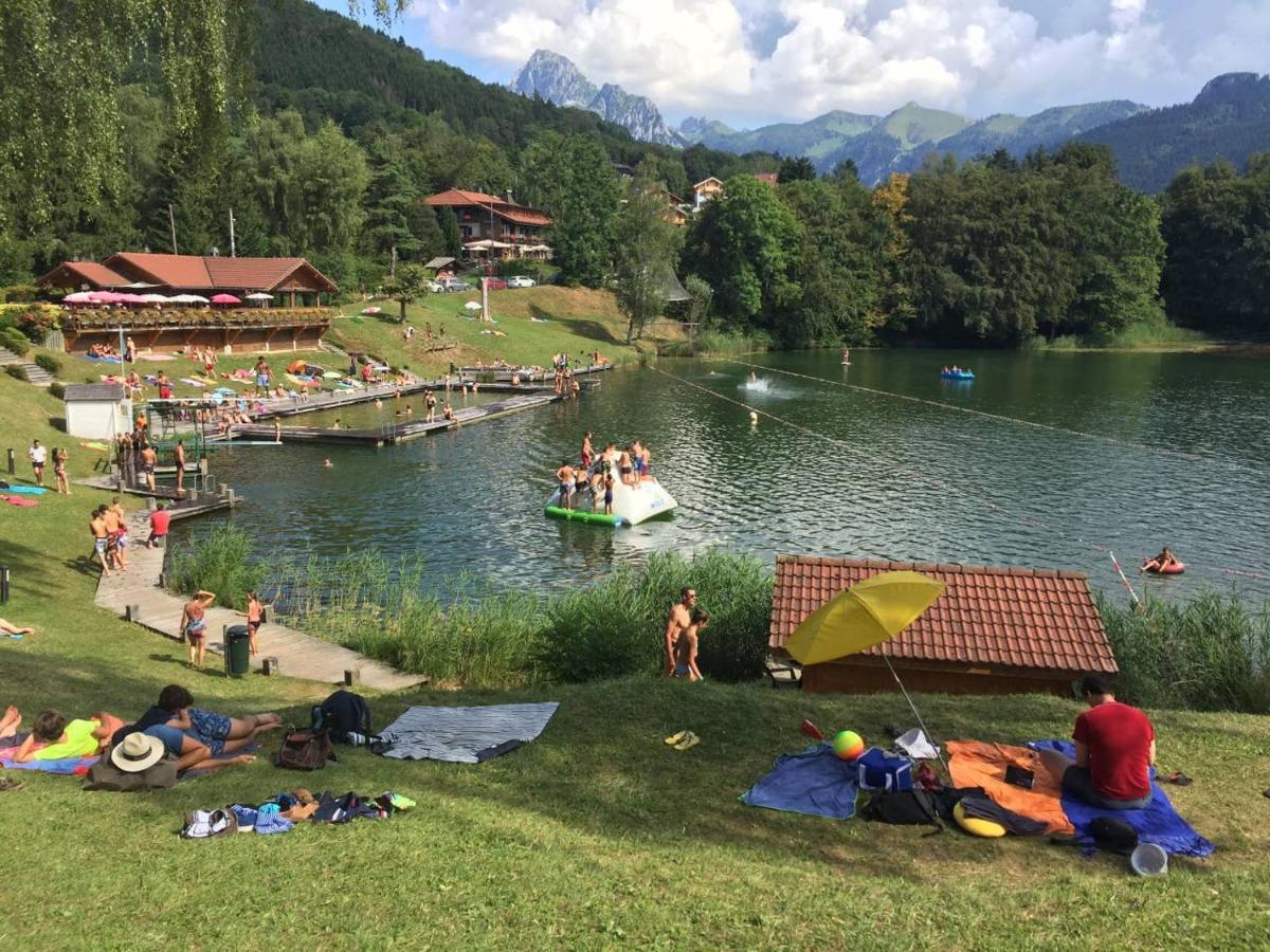 Le 211,Ski Et Randonnee, Lave Linge ,Parking Bernex Buitenkant foto