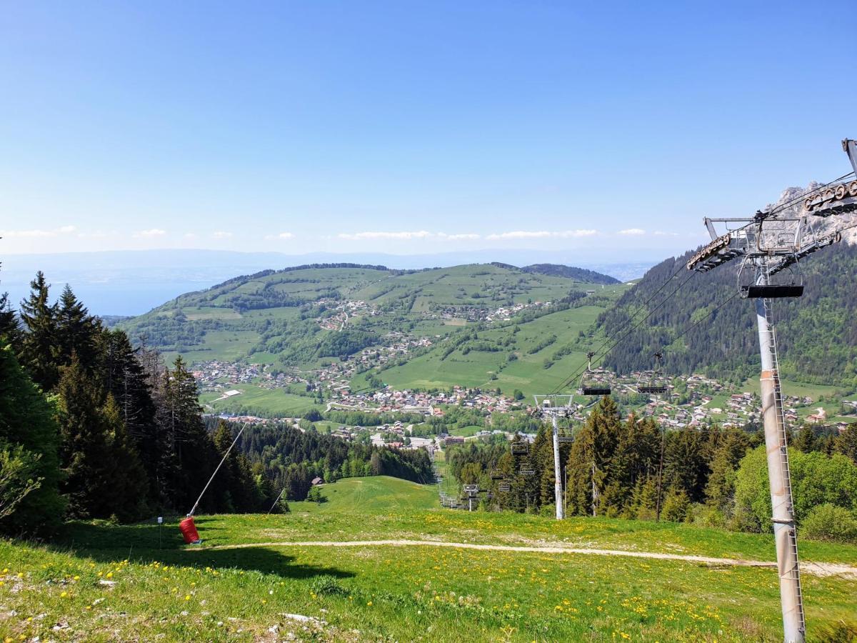 Le 211,Ski Et Randonnee, Lave Linge ,Parking Bernex Buitenkant foto