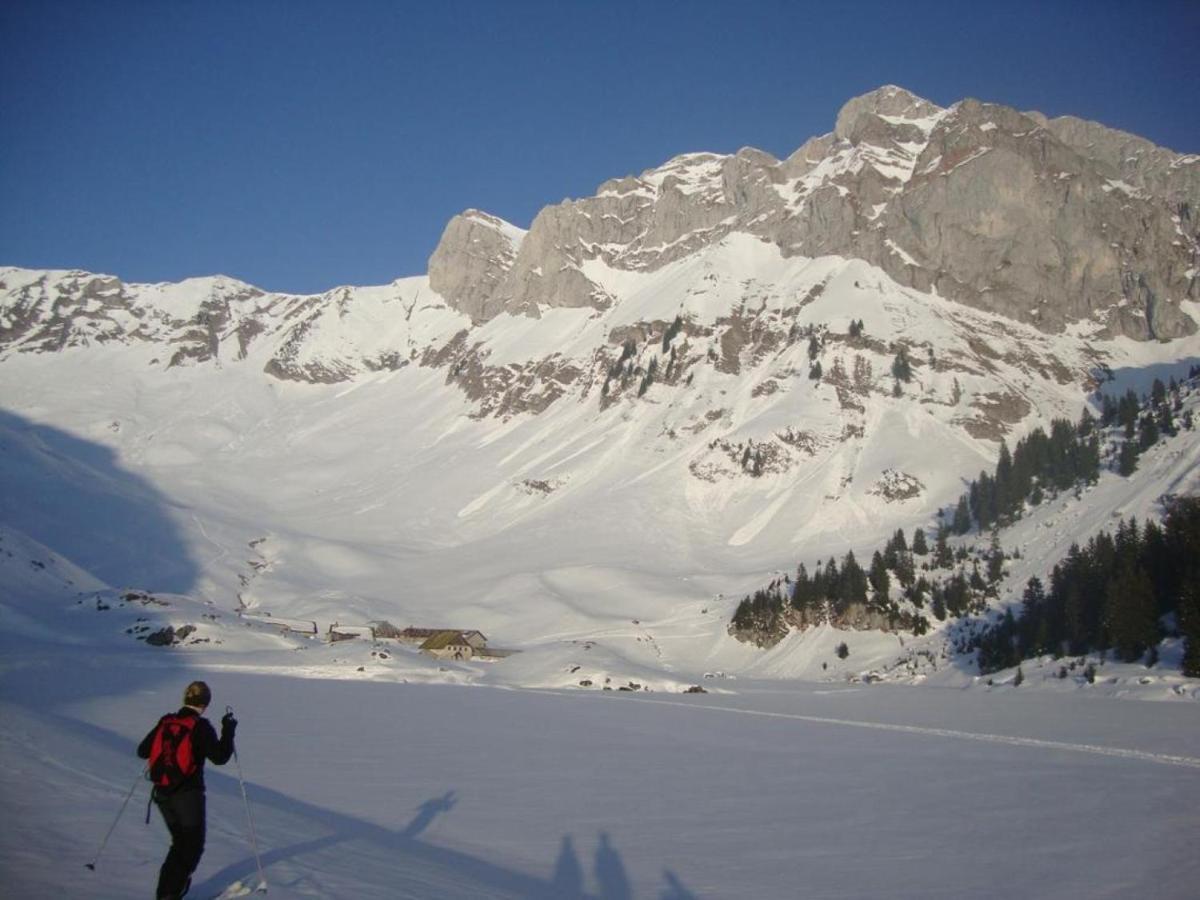 Le 211,Ski Et Randonnee, Lave Linge ,Parking Bernex Buitenkant foto